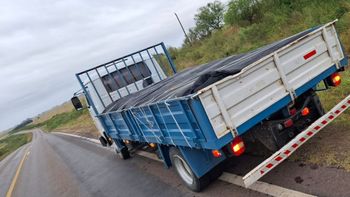 Incautan en Cerro Largo más de tres toneladas de pollo de contrabando