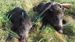 altText(El presidente y su dogo)}