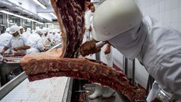 altText(Trabajadores del sector cárnico paran este miércoles)}