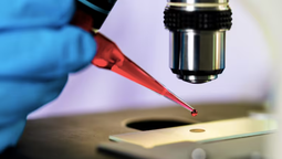 altText(Investigadores del Pasteur utilizan bacterias para reparar fisuras en edificios históricos)}