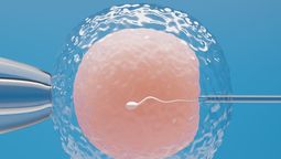 altText(Un donante con una mutación cancerígena engendró casi 200 niños en Europa)}