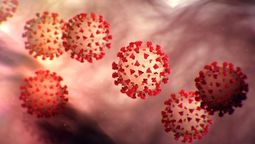 altText(La variante P1 de coronavirus domina en Uruguay)}