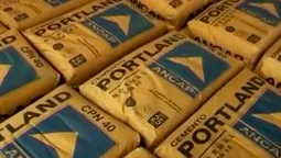 altText(¿Por qué el Frente Amplio defiende mantener el portland en ANCAP? Zavala explicó el plan de inversión)}