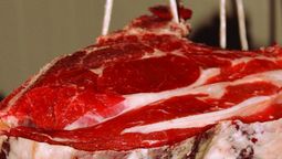 altText(La inversión en Uruguay según China)}