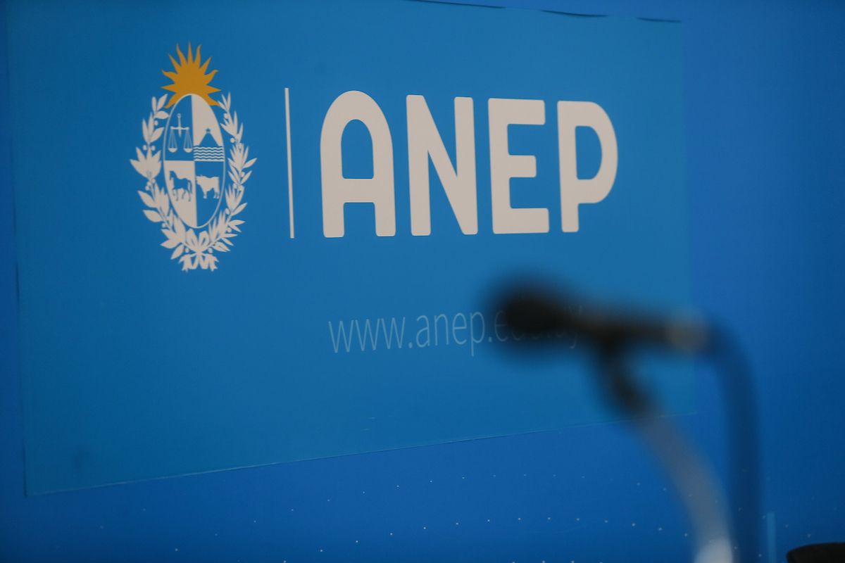 Se aprobó la venia de Virginia Cáceres para presidir la ANEP.