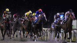 altText(El caballo argentino El Kodigo ganó el Gran Premio Ramírez)}