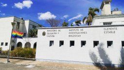 altText(MEC ordenó quitar bandera de la diversidad en el Instituto Clemente Estable)}