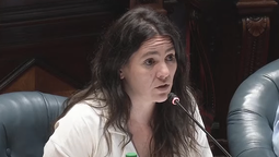 altText(Sector de la senadora Kramer cuestionó afirmaciones sobre genocidio en Gaza)}