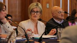 altText(Interior presentó acciones ante Comisión Bicameral de Salud Mental)}