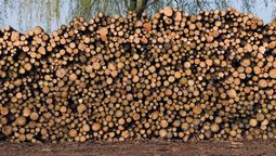 altText(De buena madera)}