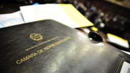 altText(Diputados vota este lunes la Rendición de Cuentas)}