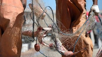 Empresas pesqueras demandaron al sindicato por 27 millones de dólares