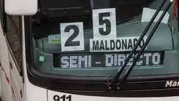 altText(Empresarios del transporte aseguran 