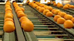 altText(Trabajadores Citrícolas le solicitaron al ministro de Trabajo un seguro de paro especial)}