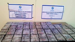 altText(Paysandú: Incautan 44.9 kilos de cocaína trasladadas en barcazas )}