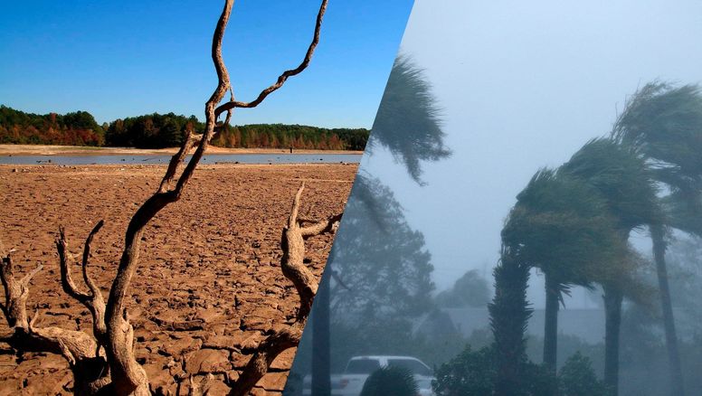 El Niño: ¿Qué consecuencias tiene para el planeta?