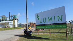 altText(Empresa forestal de Tacuarembó enviará a casi 700 trabajadores al seguro por desempleo)}