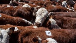 altText(Uruguay agroexportador sustentado en bienes públicos)}