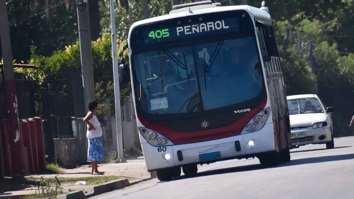 Un mujer murió al ser embestida por un ómnibus de la línea 405 en Pocitos.