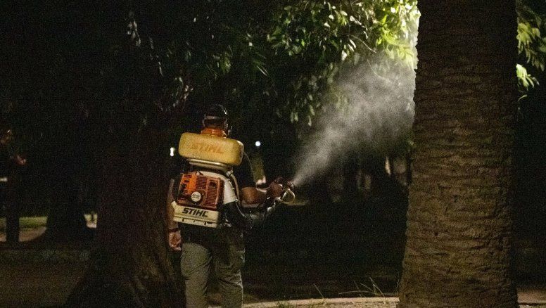 Comenzó la fumigación por invasión de mosquitos