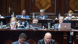 altText(Senado resuelve apoyo a Paganini y  enviar actas de la sesión a la  Justicia Penal)}