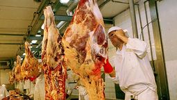 altText(Uruguay logró habilitación para exportar carne ovina y bovina al Líbano)}