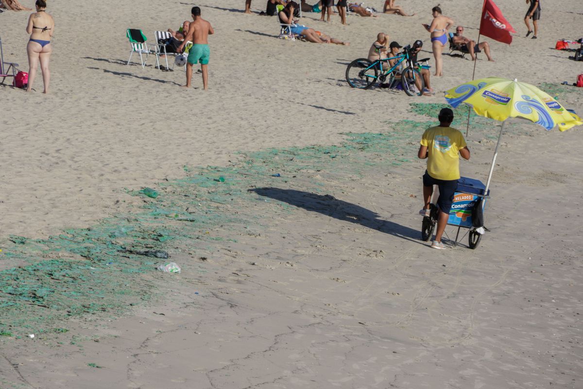 Cianobacterias en playas de Montevideo.