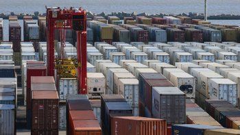 Aduana no revisó contenedor con droga que llegó a Bélgica