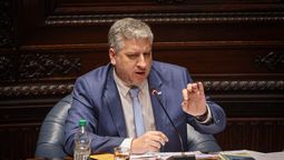 altText(Diputado blanco juega al filo y provoca a la bancada oficialista)}