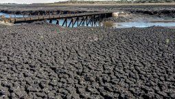 altText(Guillermo Ramis anunció febrero seco y posible aumento de precios de hortalizas en el verano)}