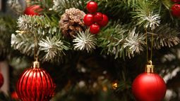 altText(El origen de una tradición: ¿Por qué hoy, 8 de diciembre, se arma el árbol de Navidad?)}