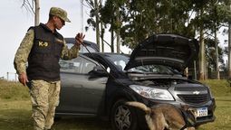 altText(Perro policía permitió incautar 48 kg de cocaína que estaban escondidos en una camioneta)}