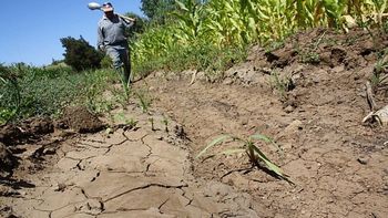 BPS decidió prorrogar vencimientos a productores rurales para paliar la sequía.