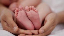 altText(Maternidad y trabajo: dos proyectos, dos perspectivas)}