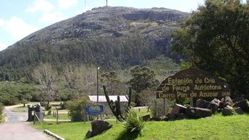 Confuso tiroteo entre tres hombres y la Policía en las inmediaciones del cerro Pan de Azúcar