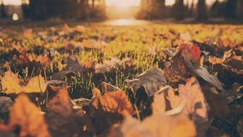 Otoño firme: Madrugadas frías y tardes templadas marcan el ritmo del fin de semana