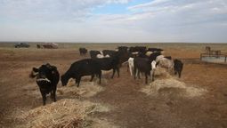 altText(Se declaró la emergencia agropecuaria por 90 días)}