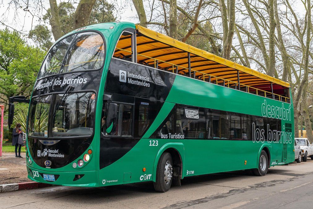 Bus Turístico