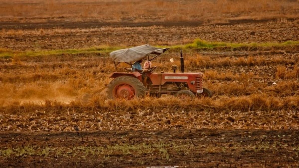 Federación Rural está preocupada por “andanada” de conflictos sindicales
