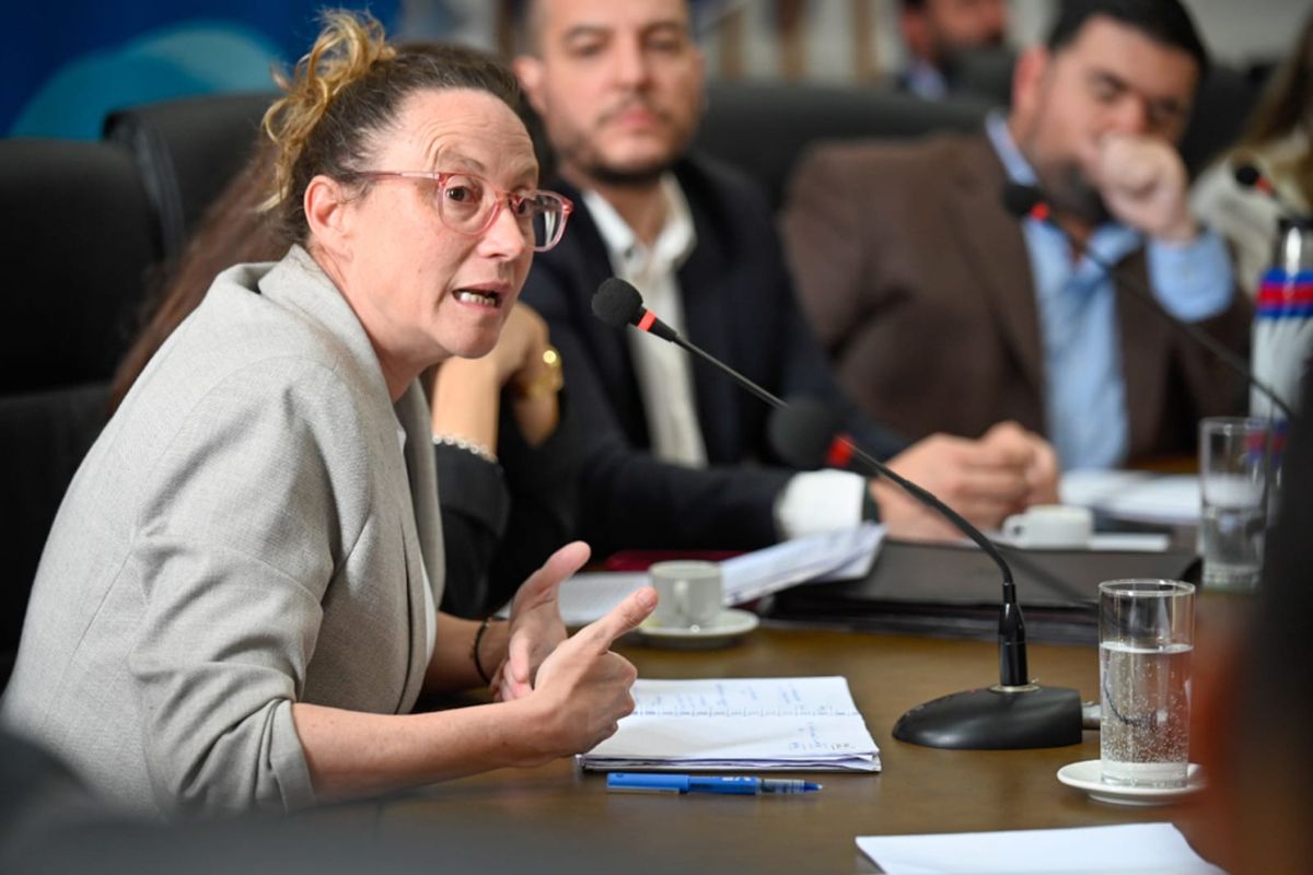 Directora de Ordenamiento Territorial, Paola Florio.