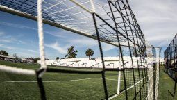 altText(Danubio se quedó sin la emblemática palmera de su estadio)}