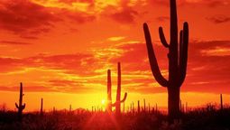 altText(Increíble: el desierto de Sonora superó los 80 grados)}