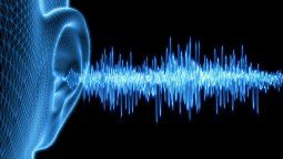 altText(Semana del sonido: ¿Cómo el sonido moldea nuestro mundo?)}