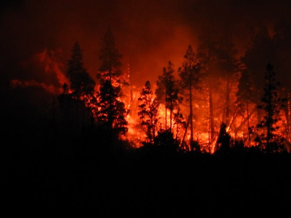 El fuego avanza en la Patagonia.