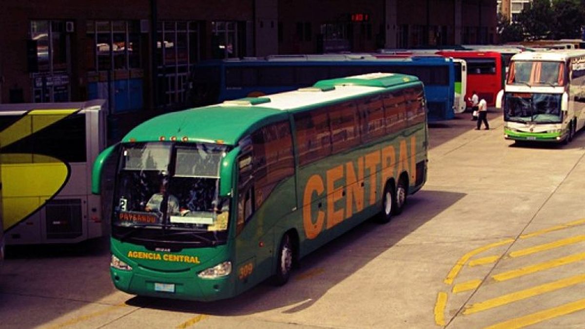 Este Jueves Habrá Paro Del Transporte Interdepartamental 6677