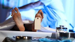 altText(Terrible: exgerente vendía restos humanos, cerebros y rostros por internet desde Harvard)}