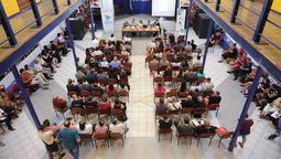 altText(¿De qué se trata?: Pit-Cnt planteó crear una sobretasa al IPPF)}