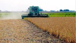 altText(La agricultura presenta excelentes resultados en comparación con 2018)}