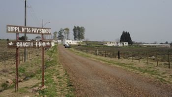 Sindicato de funcionarios penitenciarios denunció agresión a trabajadoras en cárcel de Paysandú