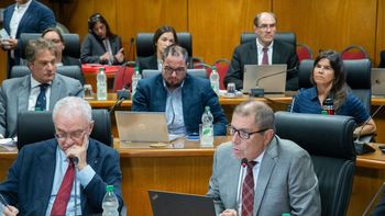 Comisión del Senado aprobó el acuerdo entre el Mercosur y la Unión Europea